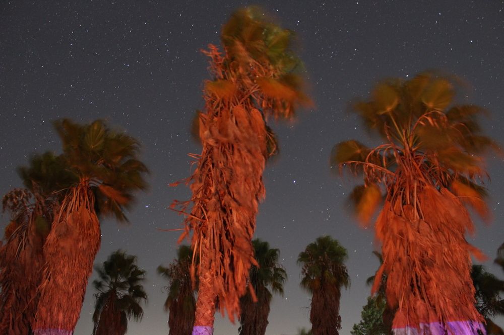 Photograph by Francisco Ferreira