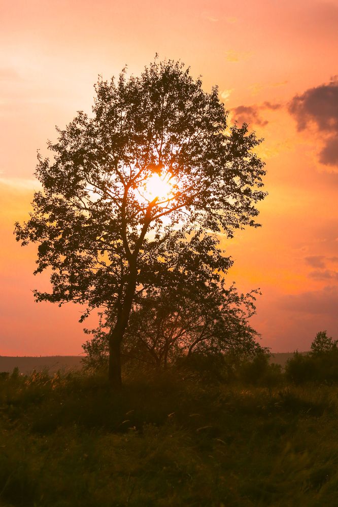 Photograph by Дарья