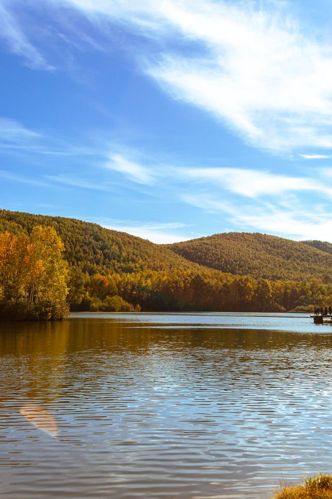 Photograph by Дарья