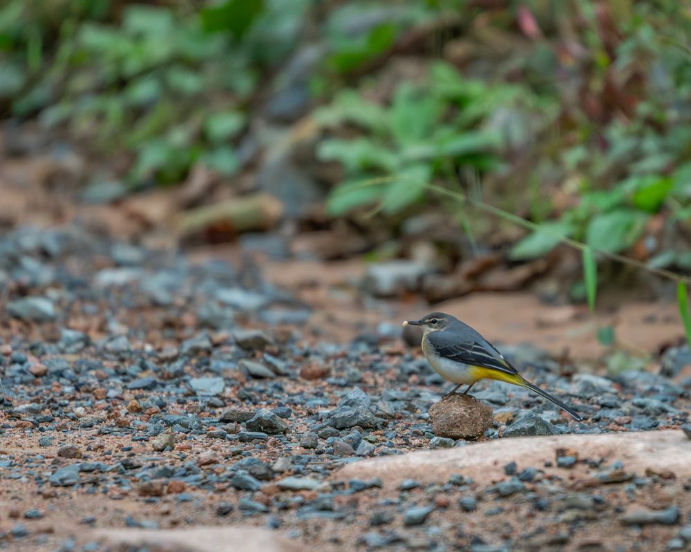 Photograph by Алексей Симонов