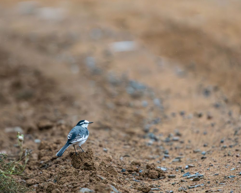 Photograph by Алексей Симонов