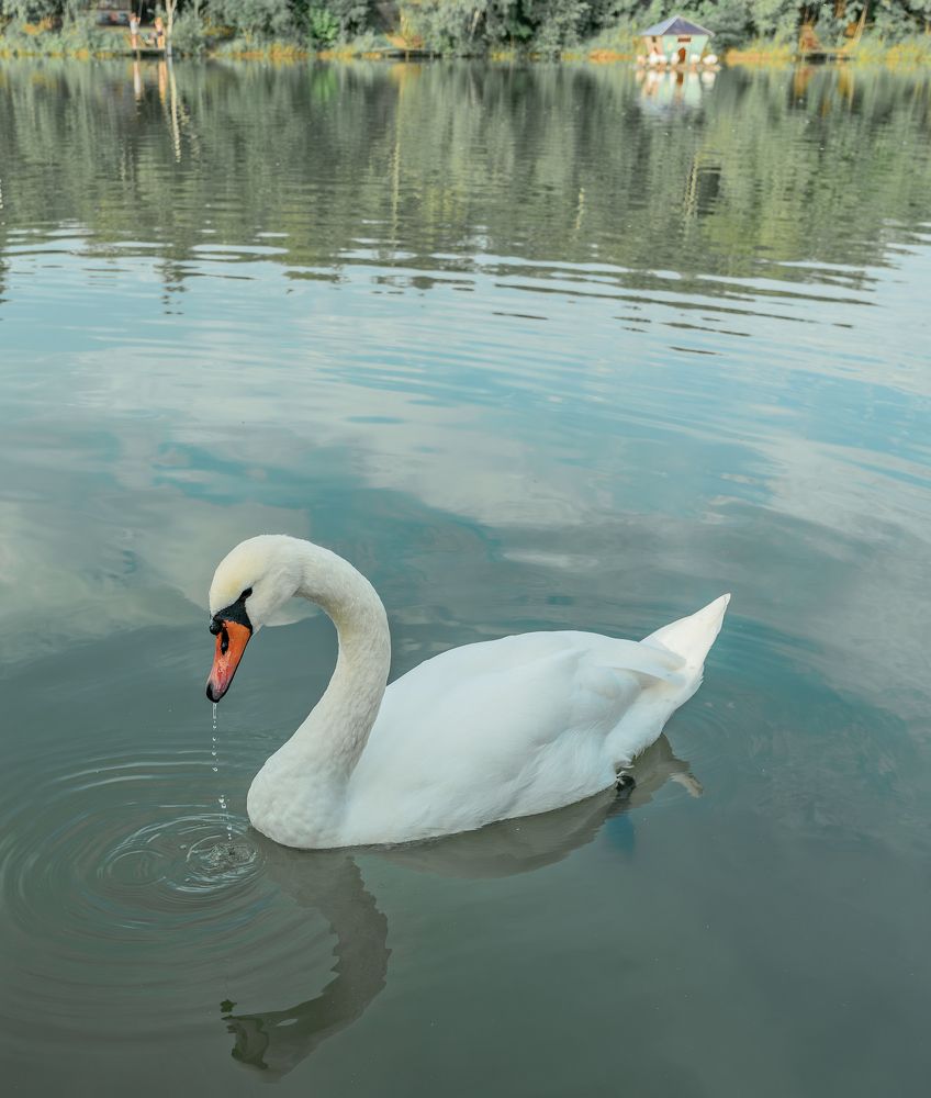 Photograph by Алексей Симонов