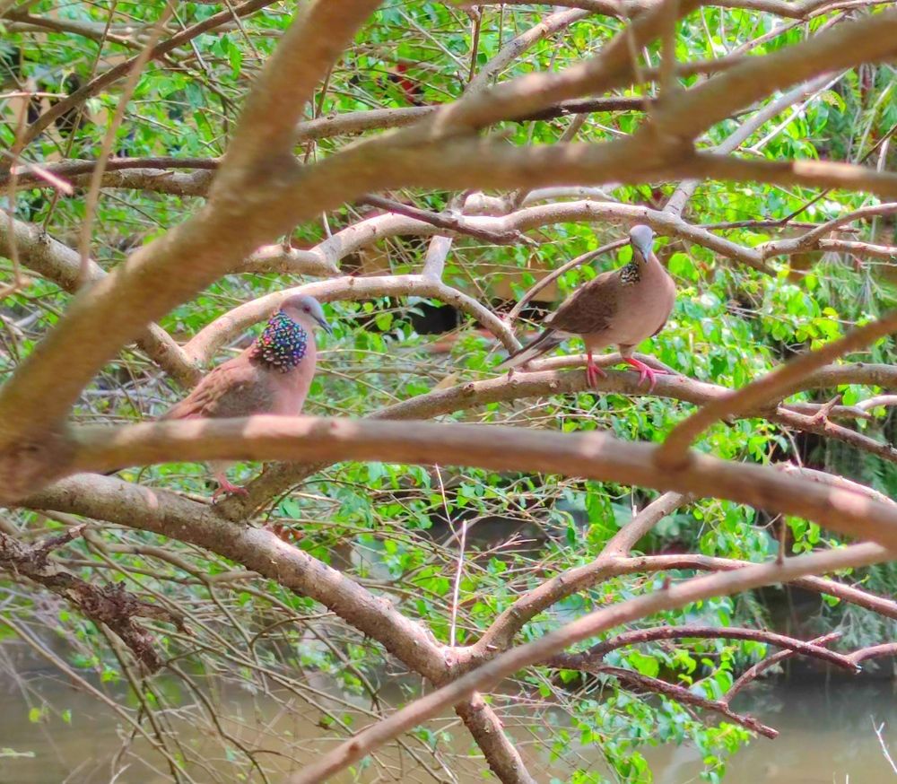 Photograph by JONATHAN VALDEZ