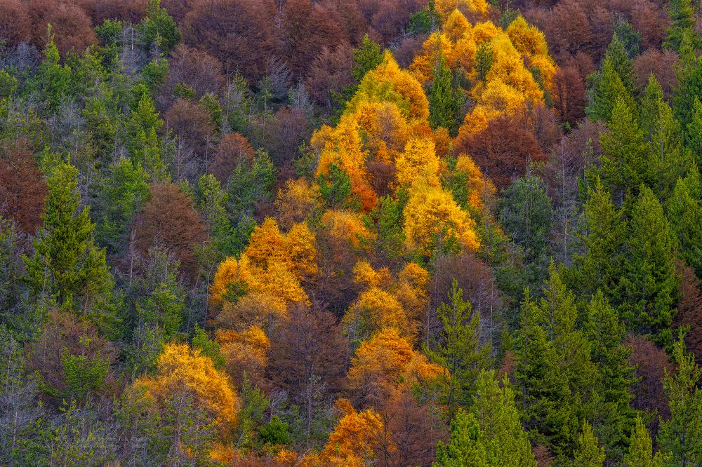 Photograph by JULIO RODRIGUEZ PROST