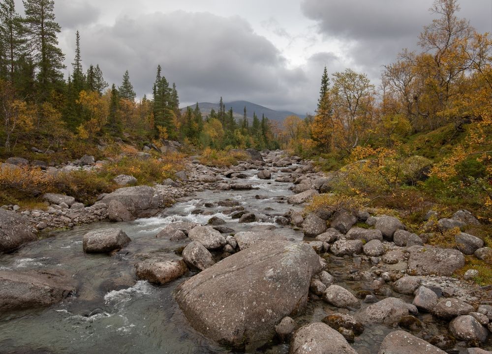 Photograph by Елена Хорохорина