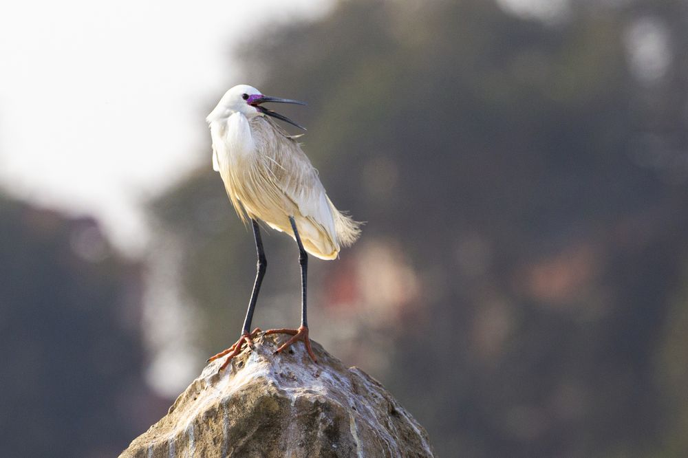 Photograph by Rania Elturky