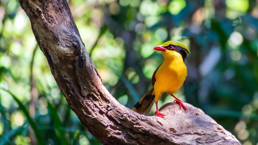 Photograph by Ahmad Malulein