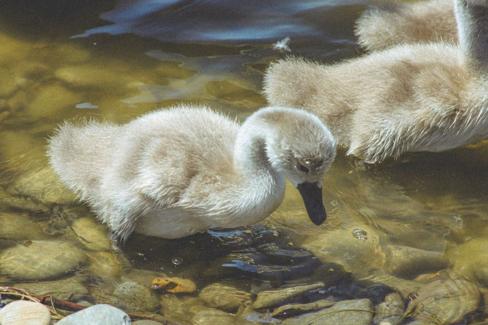 Photograph by Христина Сергейчик