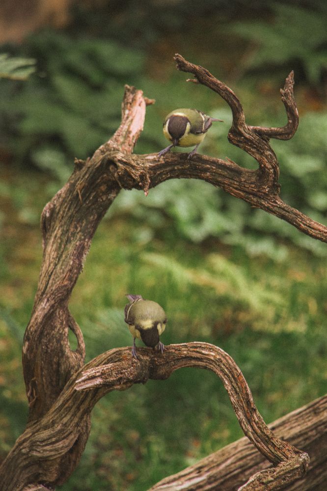 Photograph by Христина Сергейчик