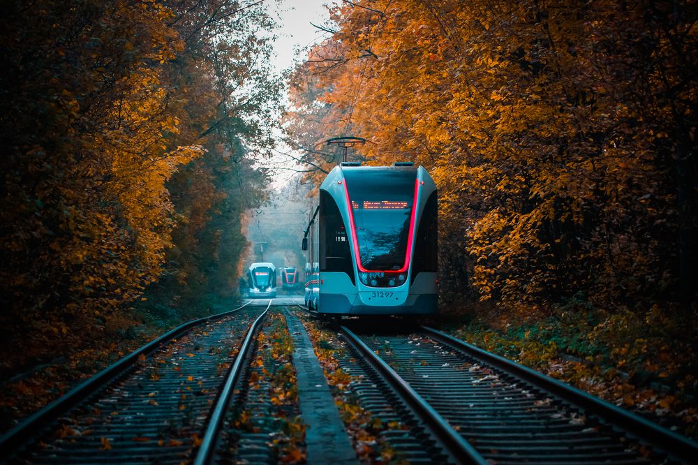 Photograph by Александр Ермаченко