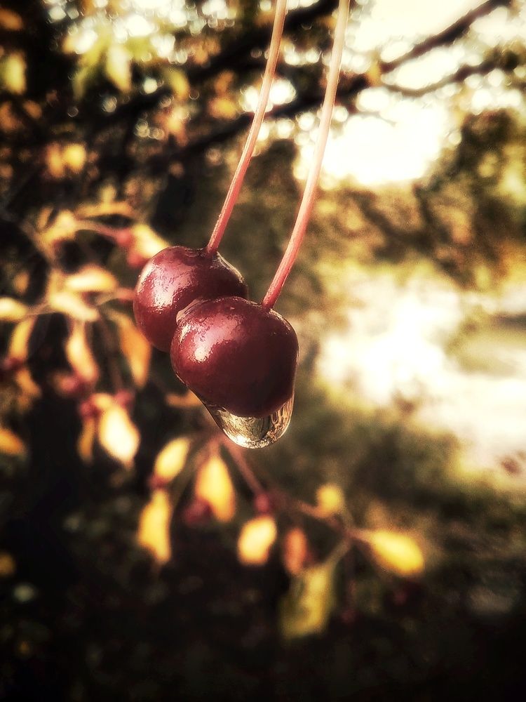 Фотография автора Екатерина Солохина