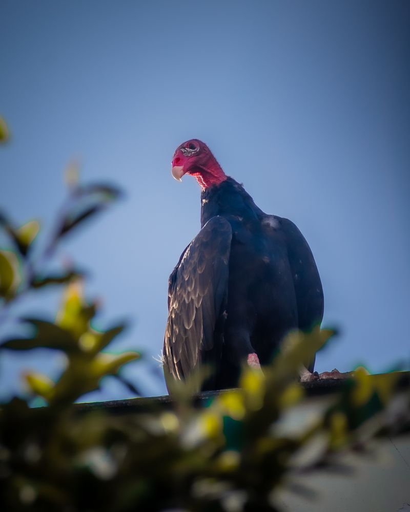 Photograph by Mauricio Santiago Boulogne