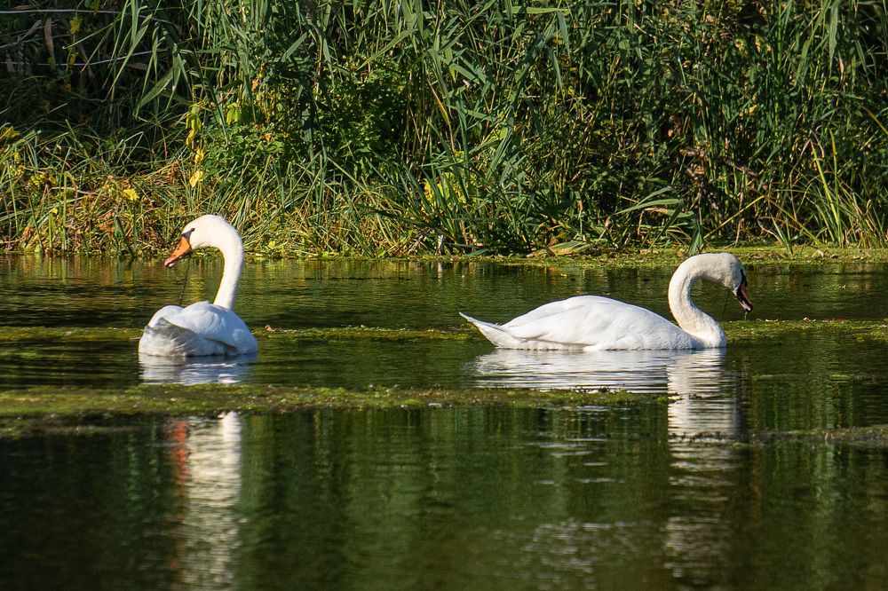 Фотография автора Николай Бологов