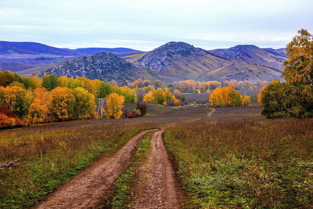 Photograph by Владимир Акиньшин