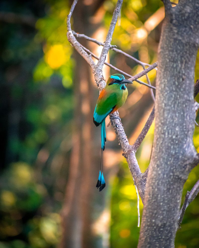 Photograph by Mauricio Santiago Boulogne