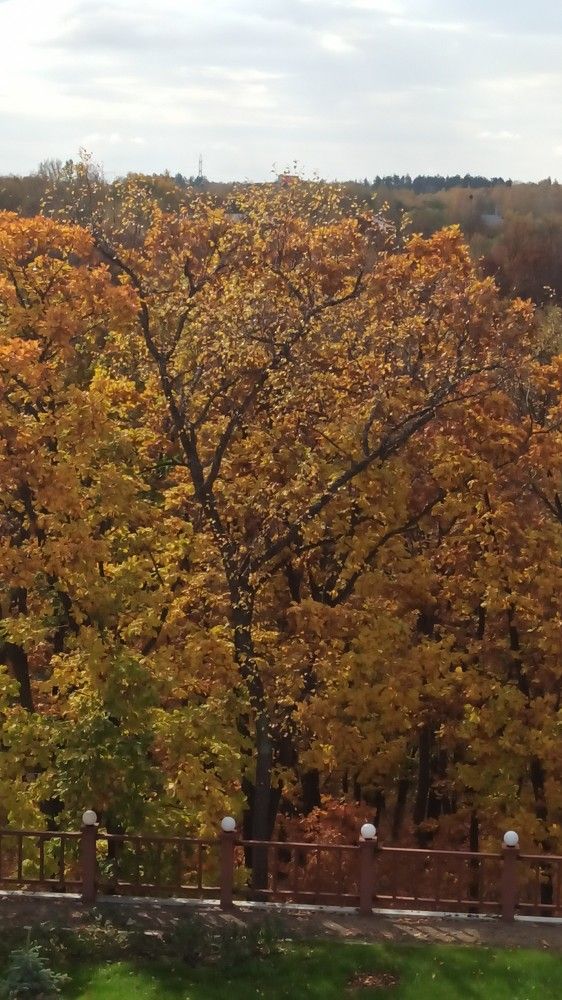 Photograph by Александр Шевченко