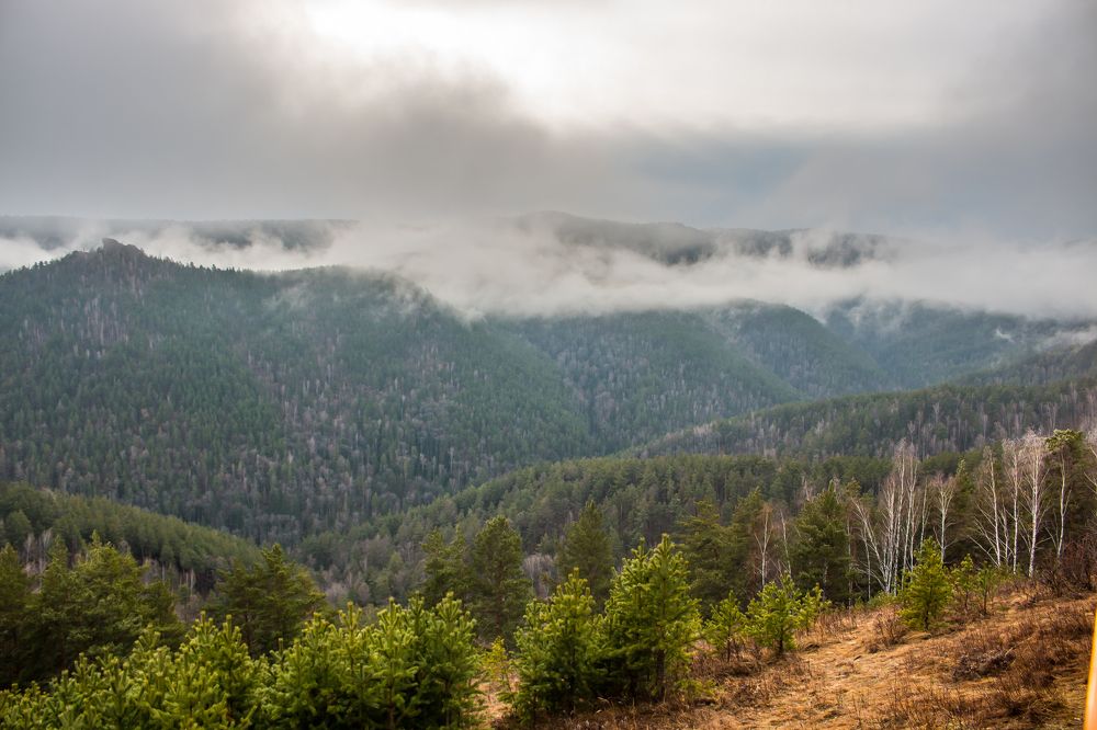 Photograph by Алексей Чубыкин