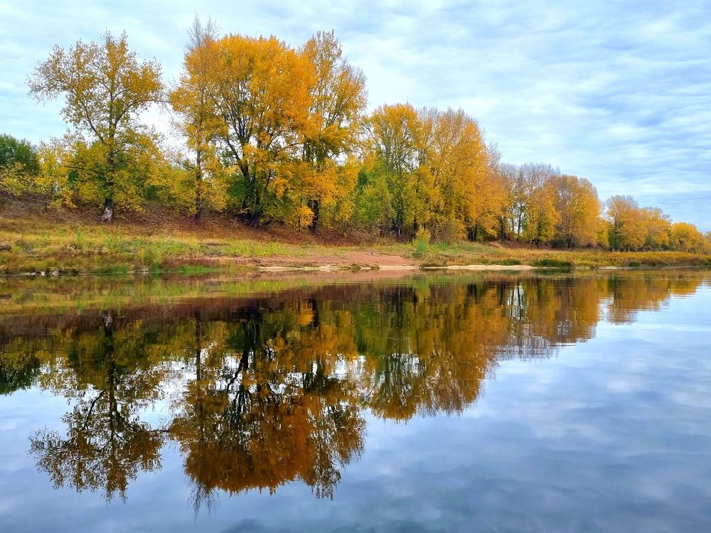 Photograph by Алексей Приешкин