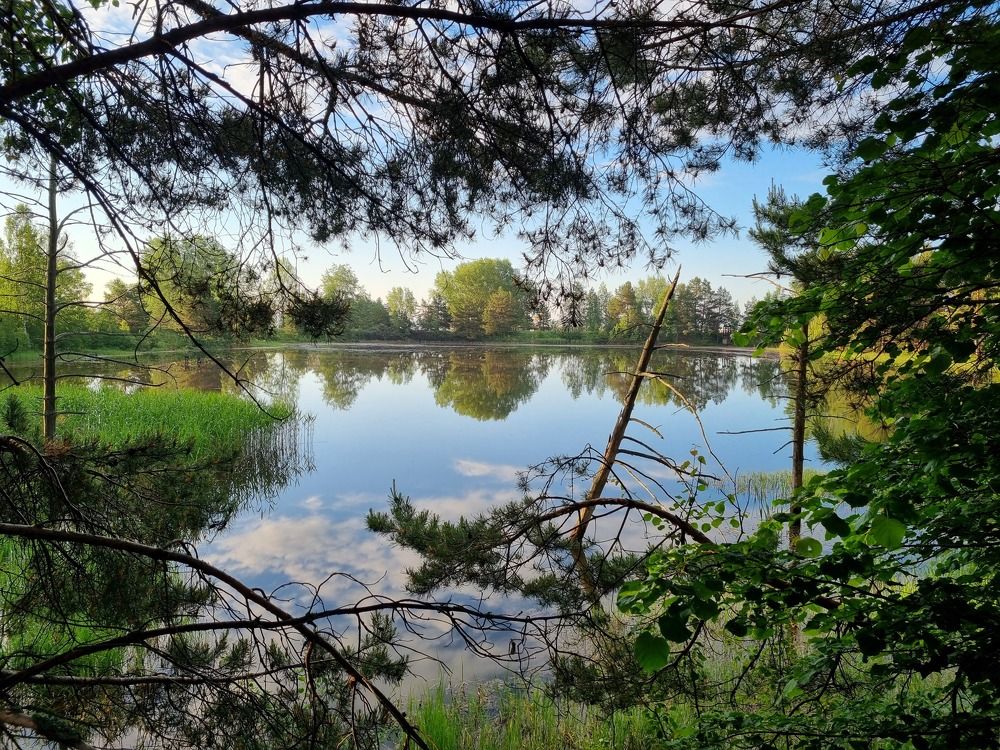 Photograph by Алексей Приешкин