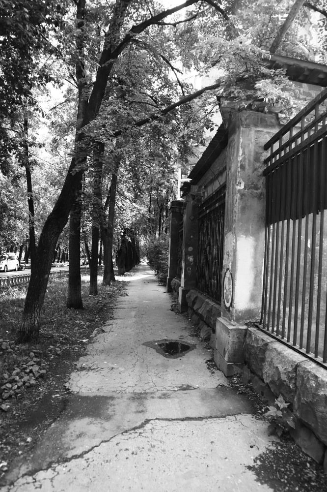 Photograph by Татьяна