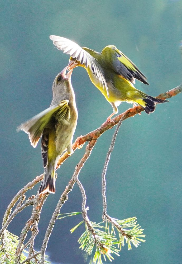 Photograph by Павел Бабенко