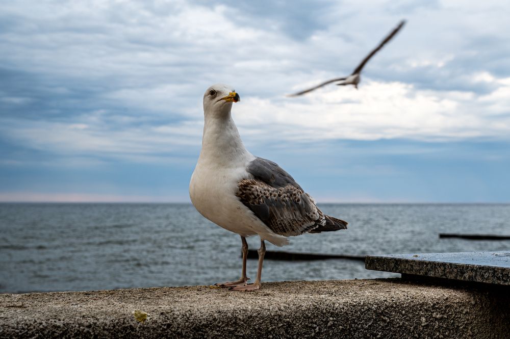 Photograph by Аверина Елена