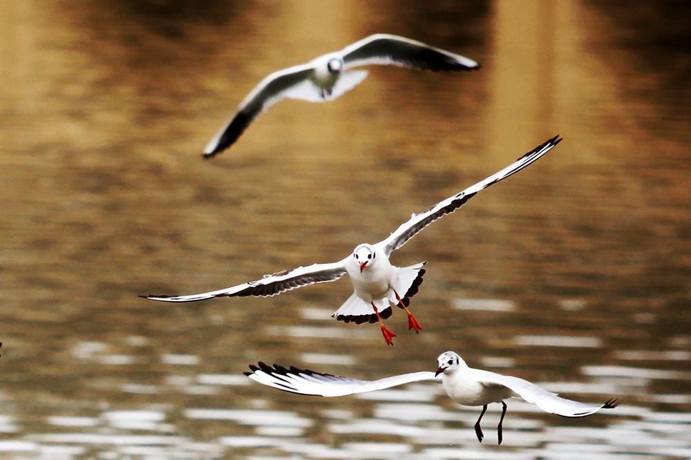 Photograph by mahdi karimi souderjani