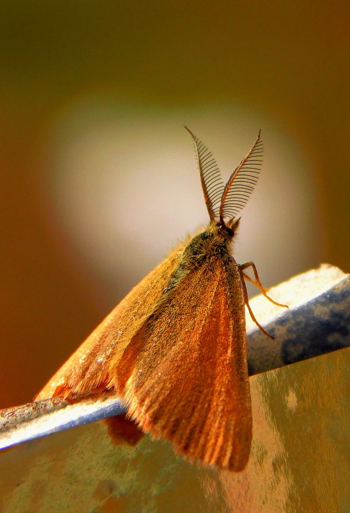 Photograph by Сергей Чеченов