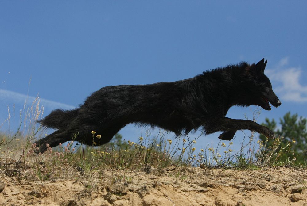 Фотография автора Надежда Лисицына