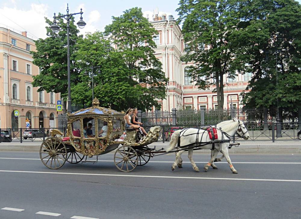 Photograph by Галина Пименова