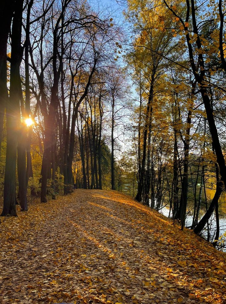 Фотография автора Юлия Косинова