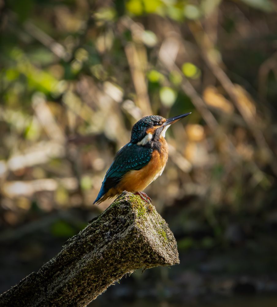 Photograph by Марина