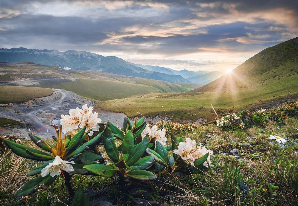 Фотография автора Andrey