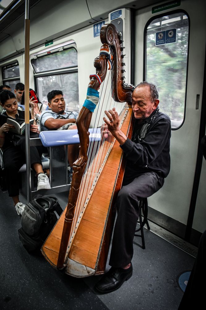 Argentinian Harp Player