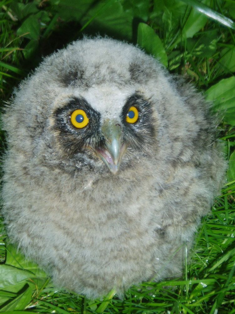 Photograph by Виктория Образцова