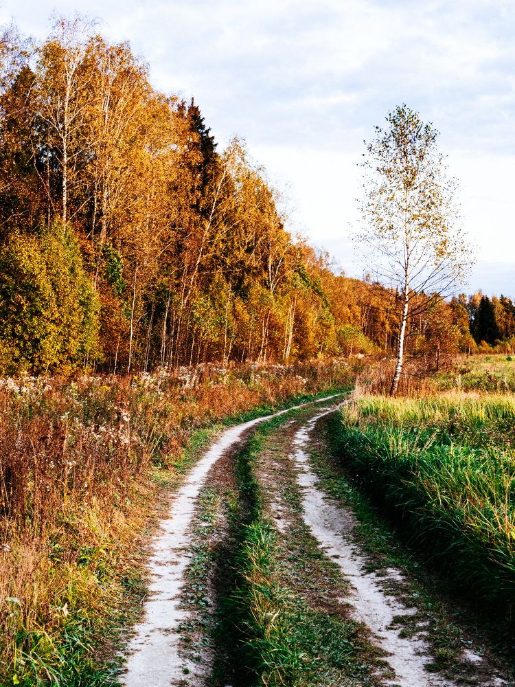 Photograph by Борис Челышев