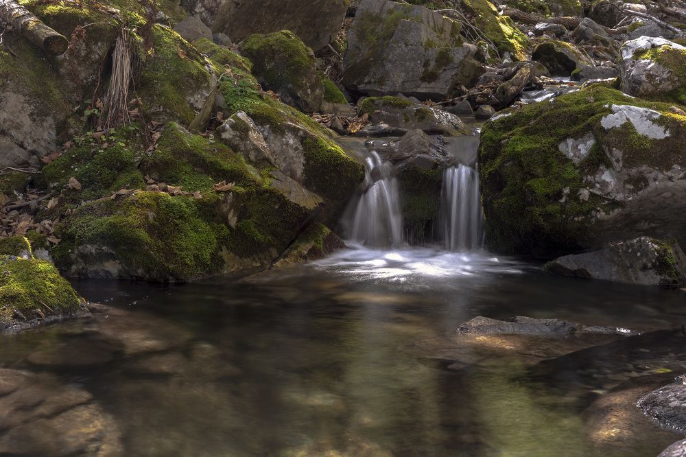 Photograph by ALEKSANDR KUZNETSOV