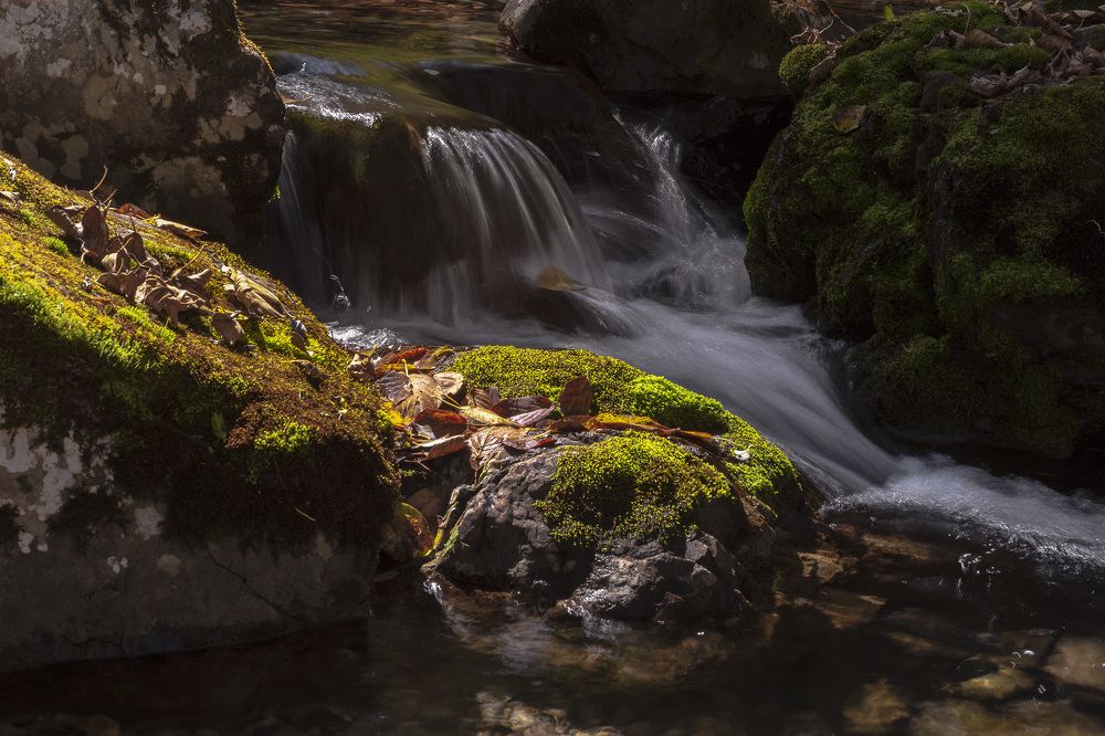 Photograph by ALEKSANDR KUZNETSOV