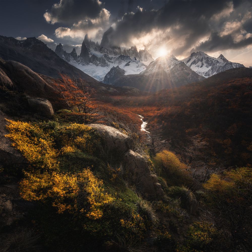 Photograph by Политова Анна