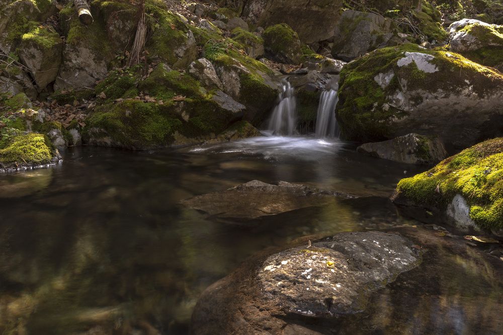 Photograph by ALEKSANDR KUZNETSOV