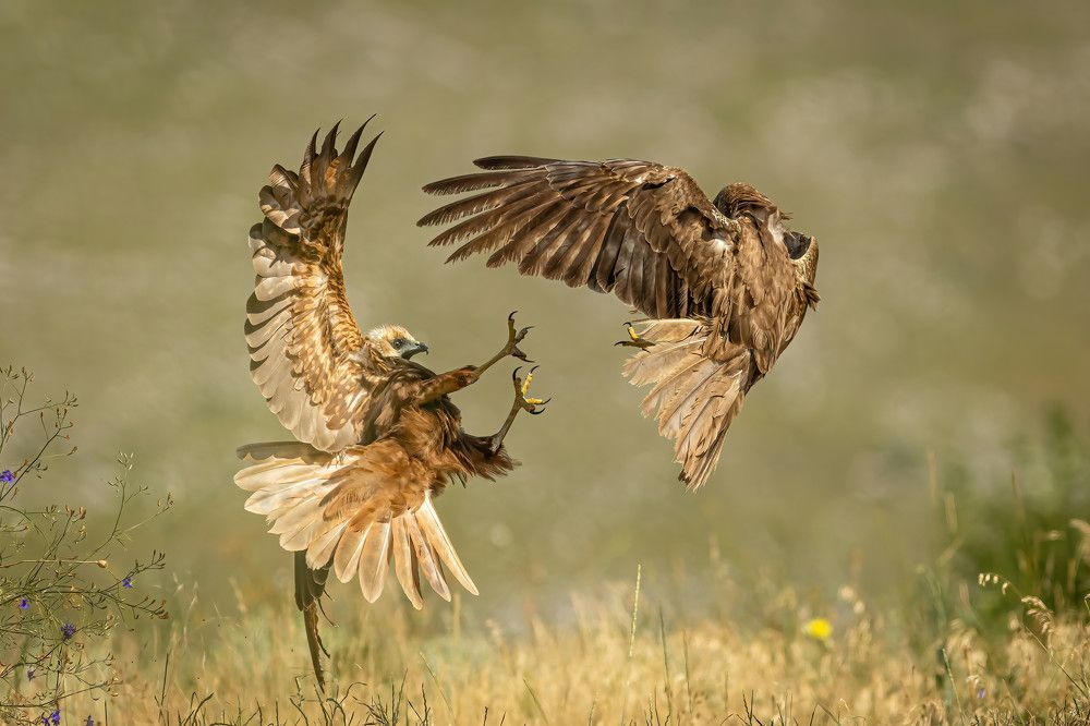 Photograph by Nikolay Stoyanov