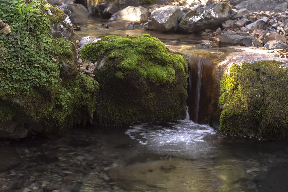 Photograph by ALEKSANDR KUZNETSOV