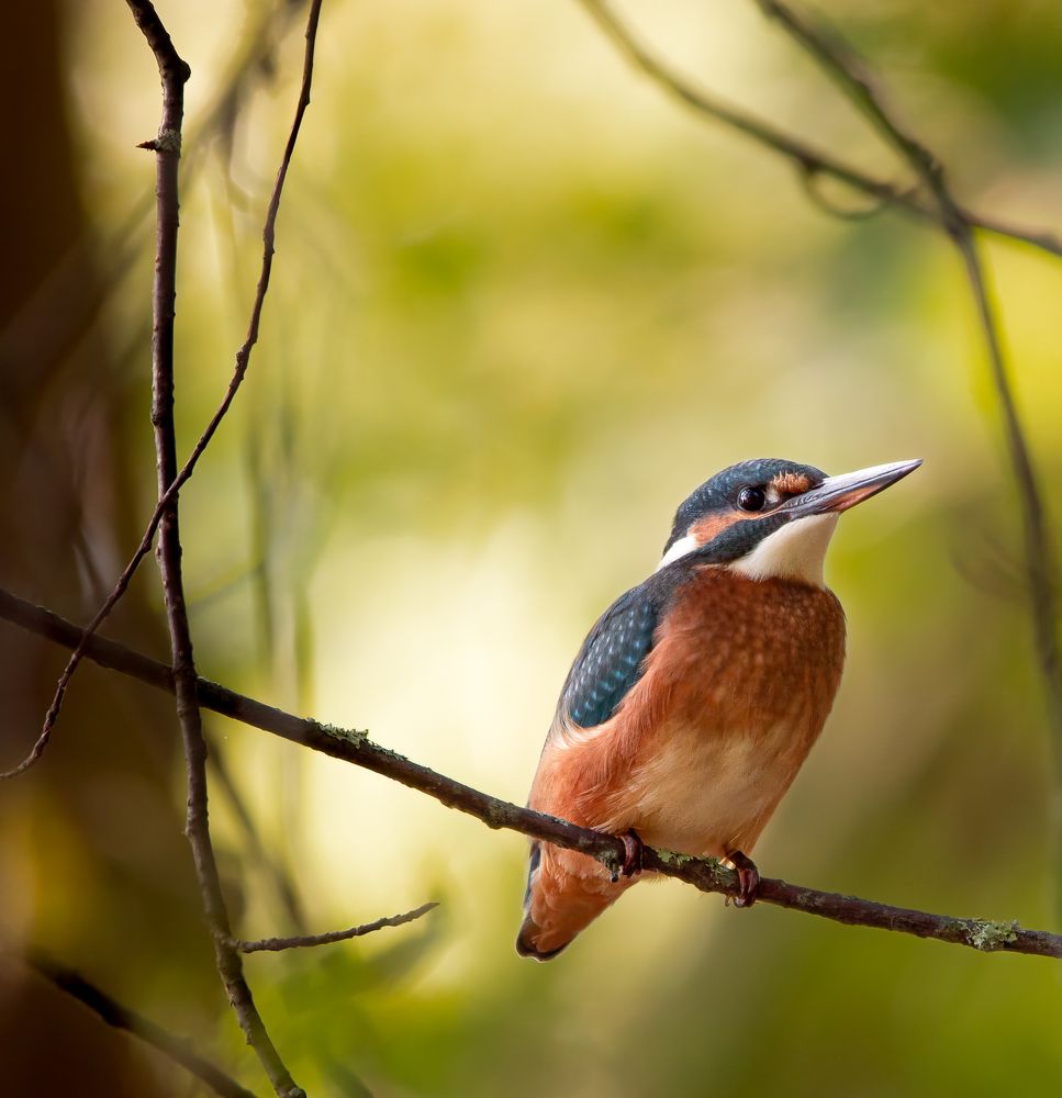 Photograph by Марина