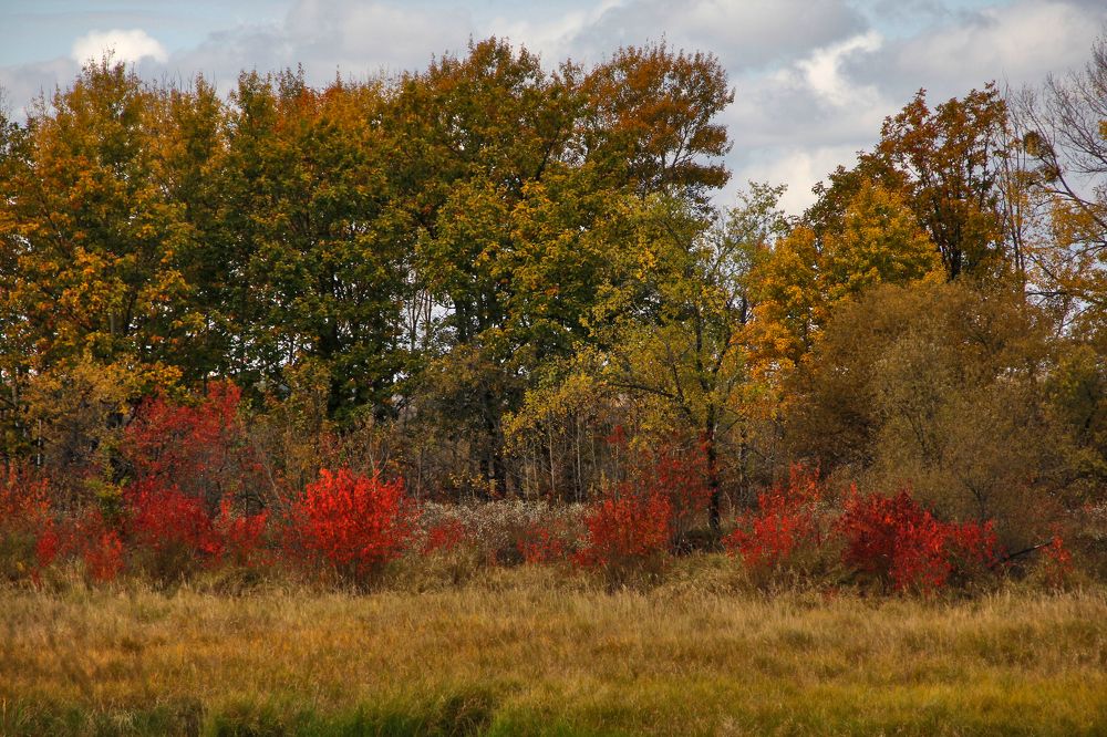 Фотография автора Наталия Мащенко