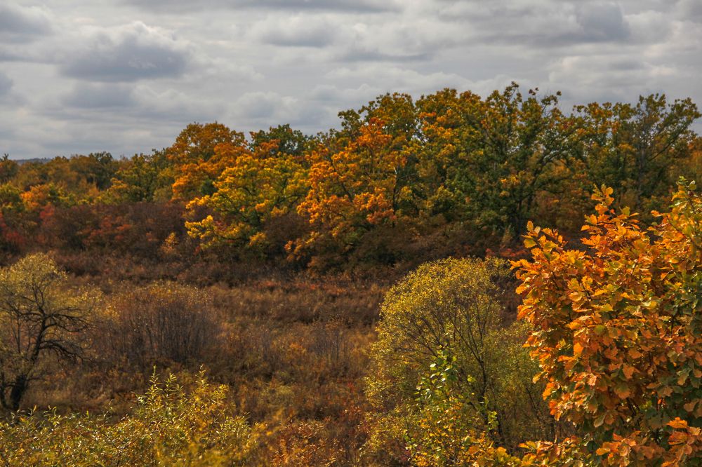 Фотография автора Наталия Мащенко