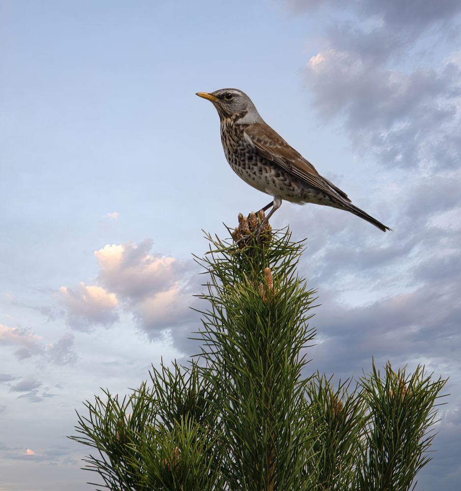 Photograph by Людмила Железнова