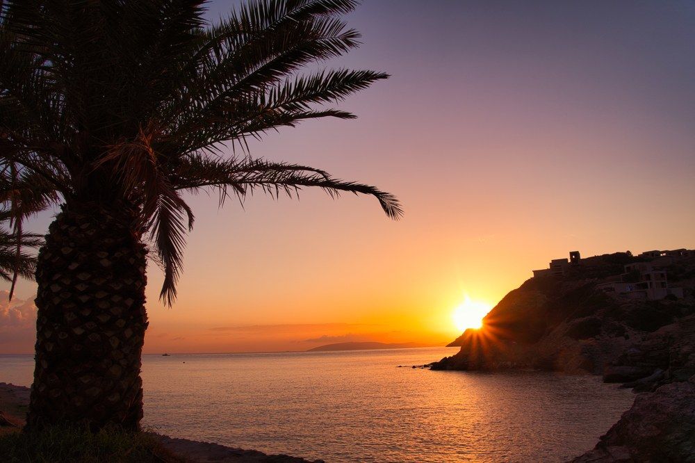 Photograph by Jagoda Judasz