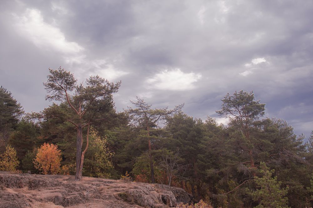 Photograph by Бурикова Екатерина