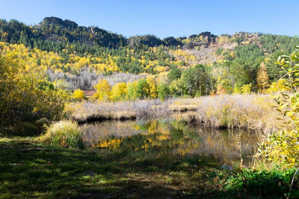 Photograph by Олег Беспалов