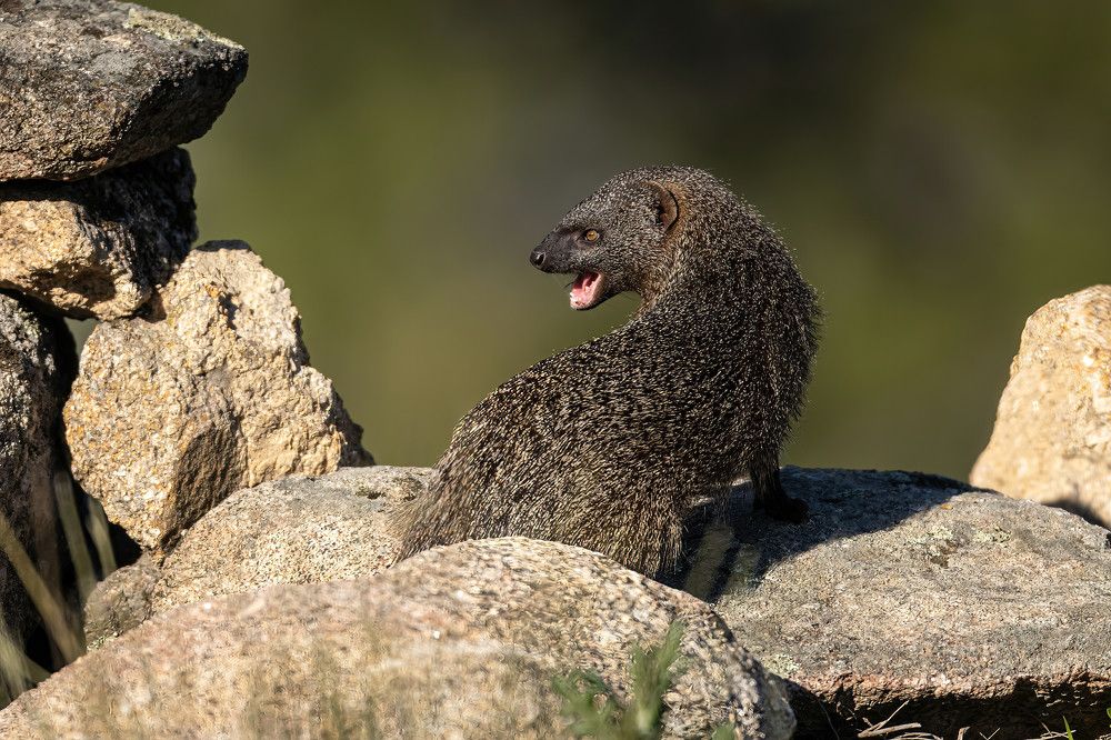 Photograph by Nikolay Stoyanov